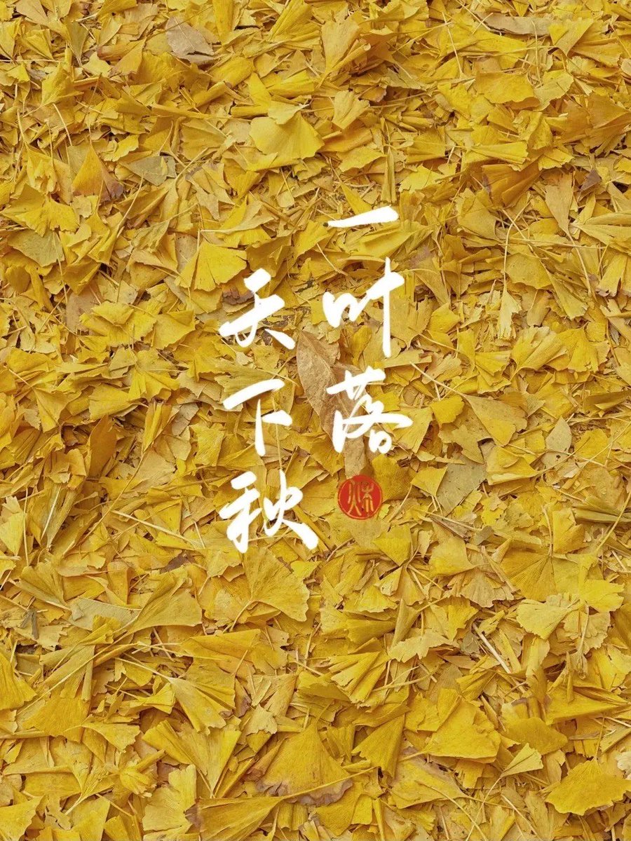 Leslie S. tweet media