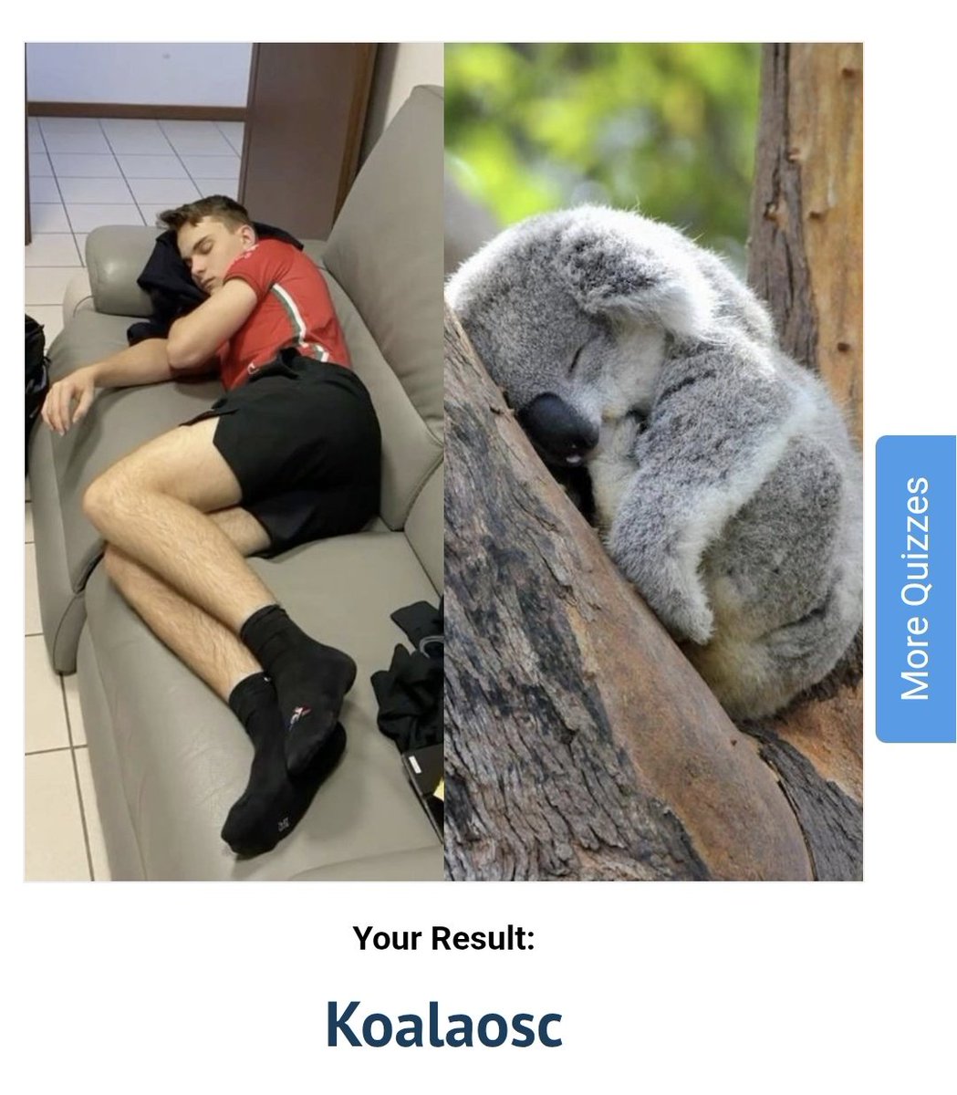 lau ⁸¹ ³ ⁸⁷ 🌼 tweet media