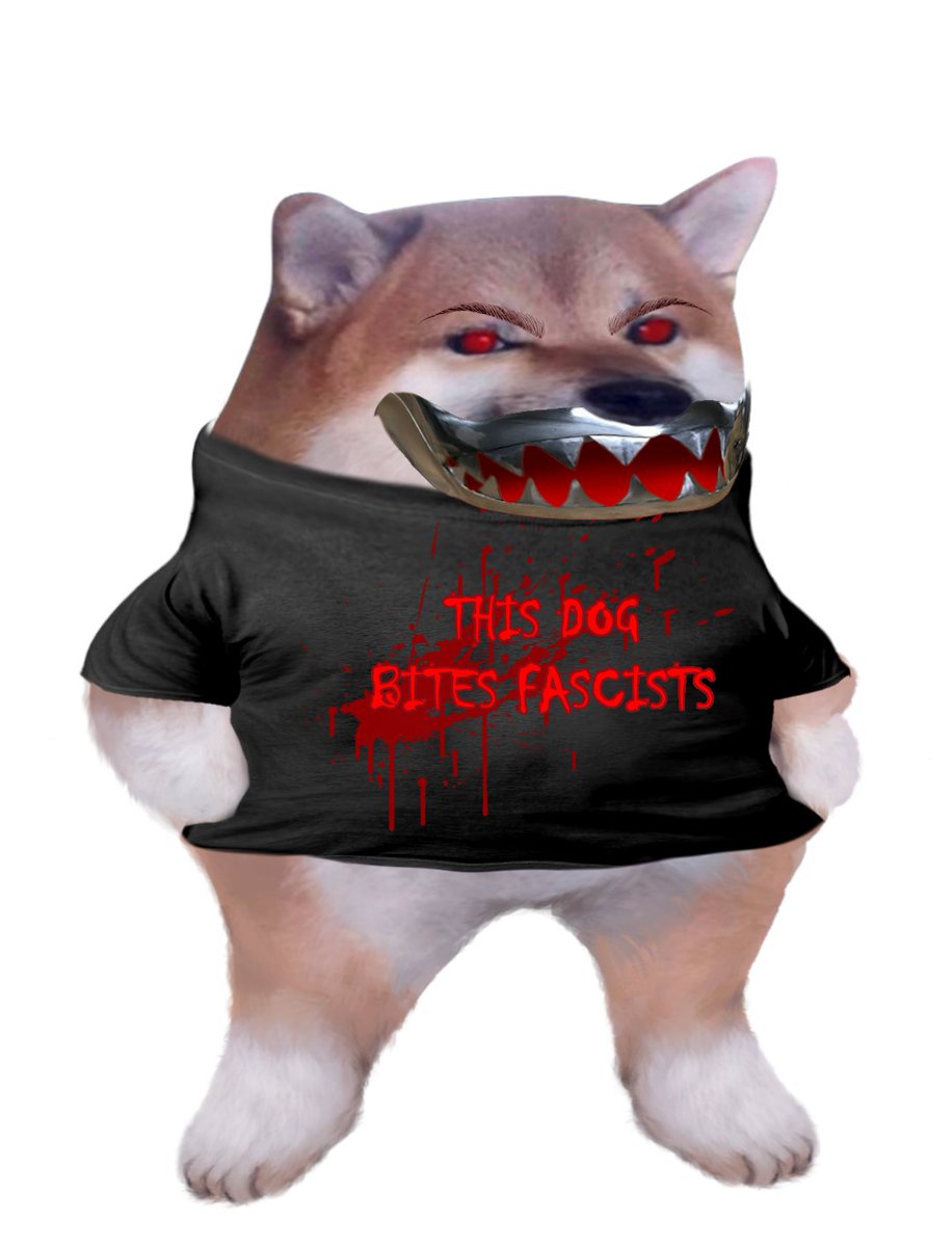 Tony Keene 🇪🇺🇮🇪🇺🇦 tweet media