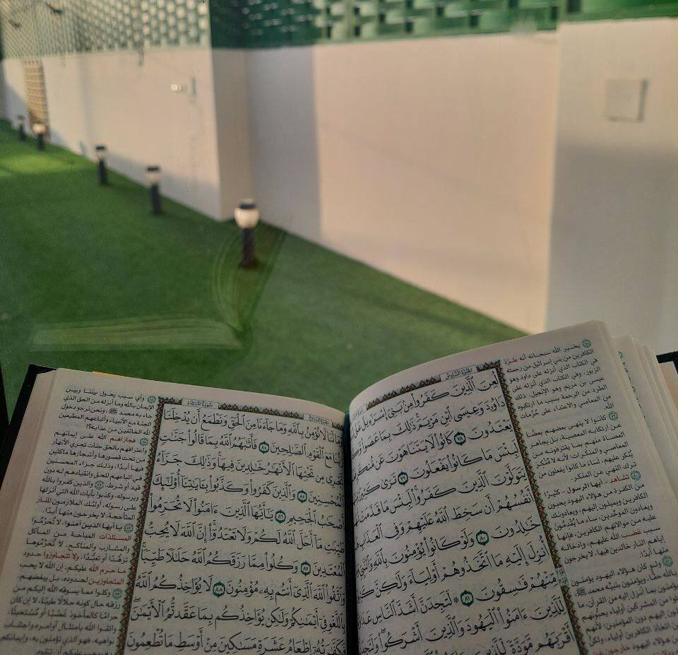 أَرو 𓂆 يّة tweet media