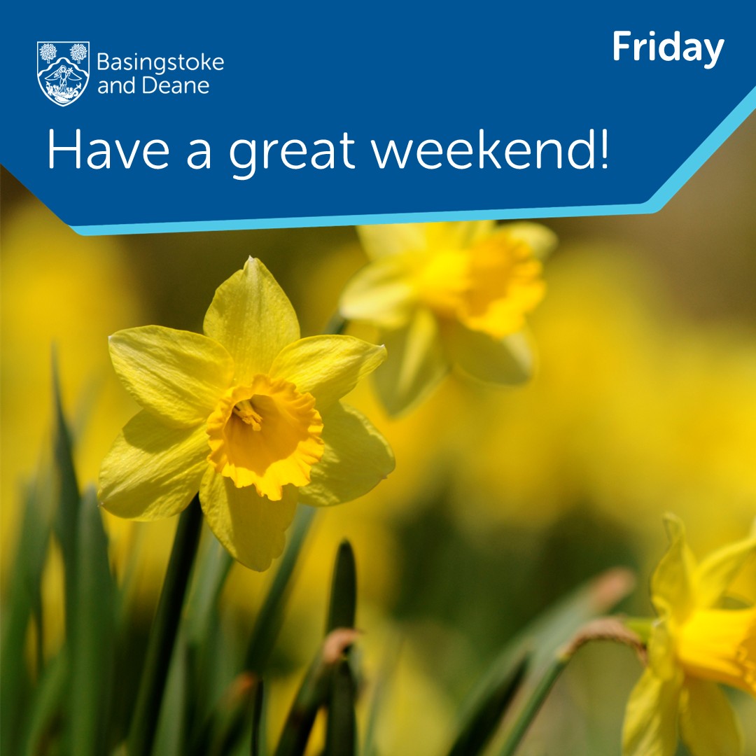 Basingstoke Council tweet media