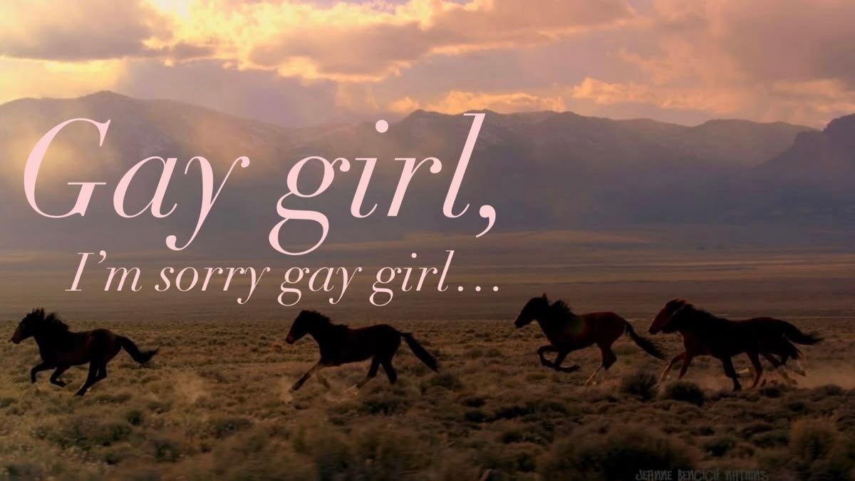 horse dentist tweet media