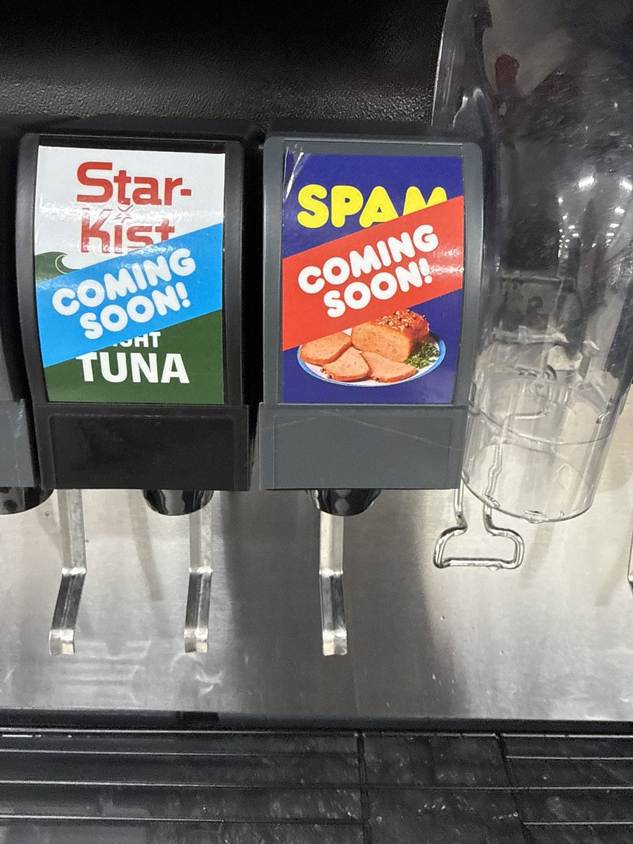 Ly ˚˖𓍢ִ🌷˚. tweet media