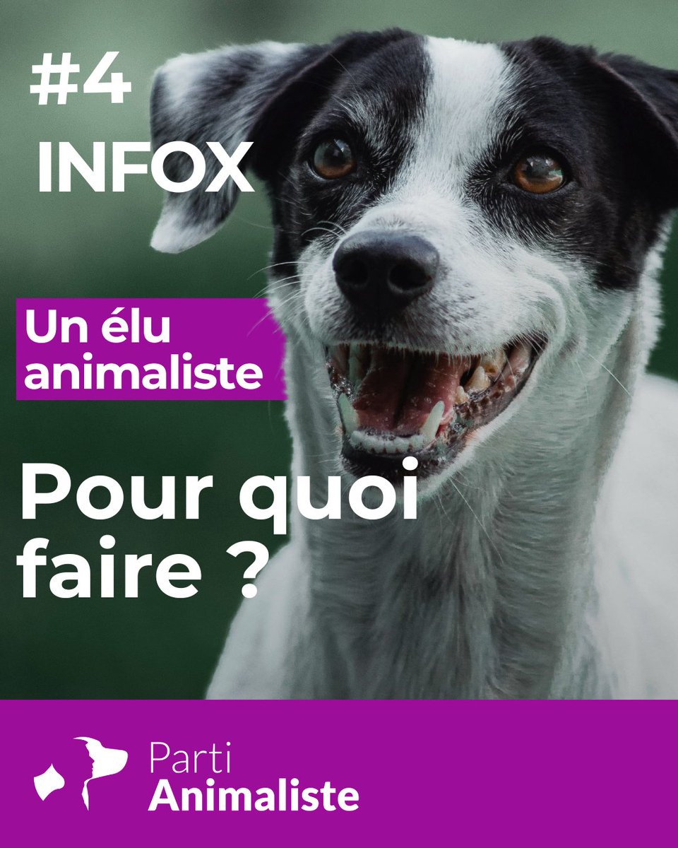 Parti animaliste tweet media