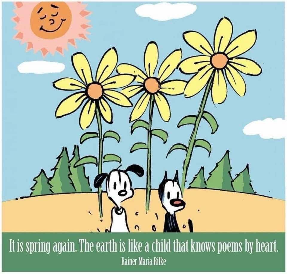 Soft Side tweet media