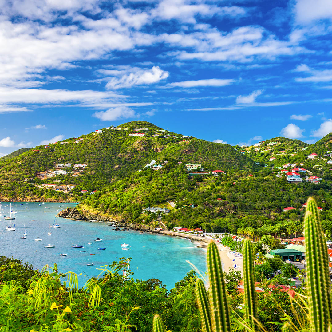 St. Barths has perfected island living! This glamorous Caribbean escape pairs flawless beaches and ocean views with chic boutiques, French-Caribbean cuisine, and vibrant nightlife. Let’s make it happen! (804) 637-0657

#doodlevacations