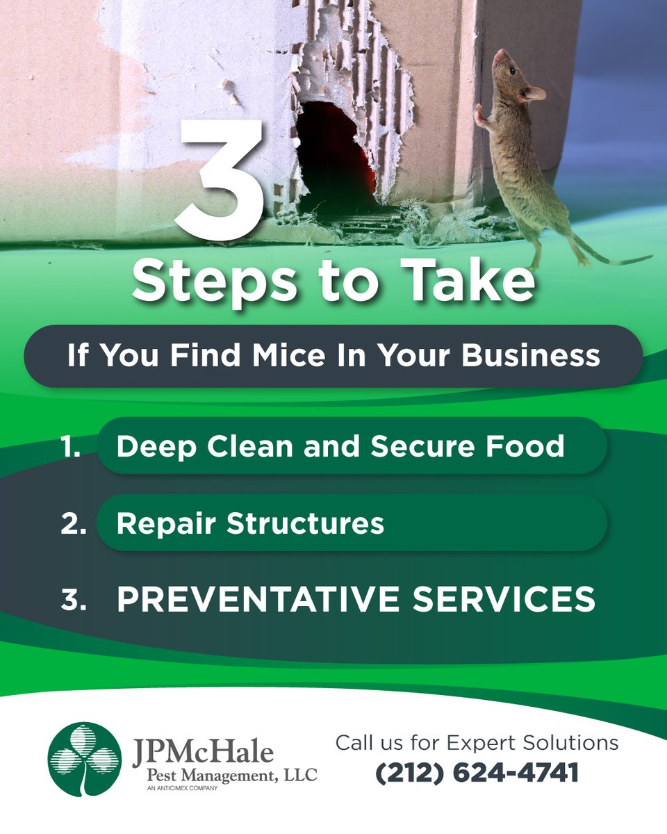 JP McHale Pest Management LLC tweet media