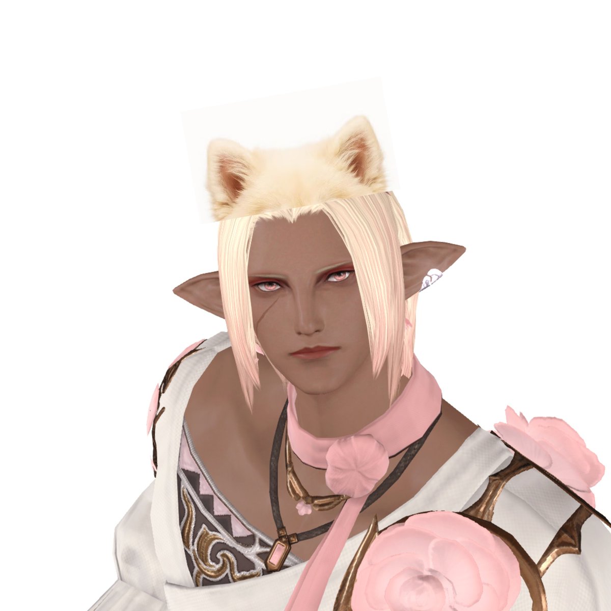 标子厨 tweet media