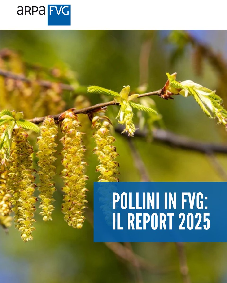 ARPA FVG tweet media