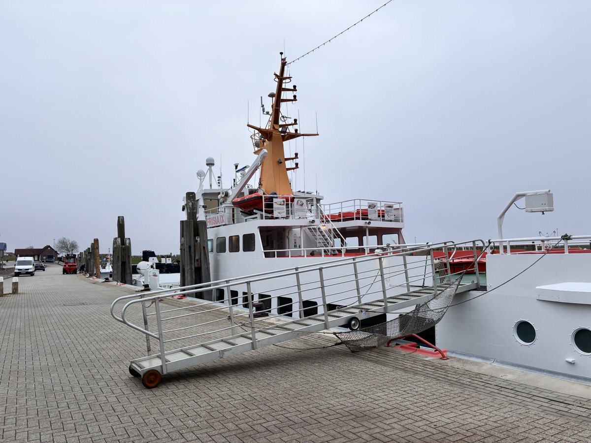 joni 🦊 tweet media