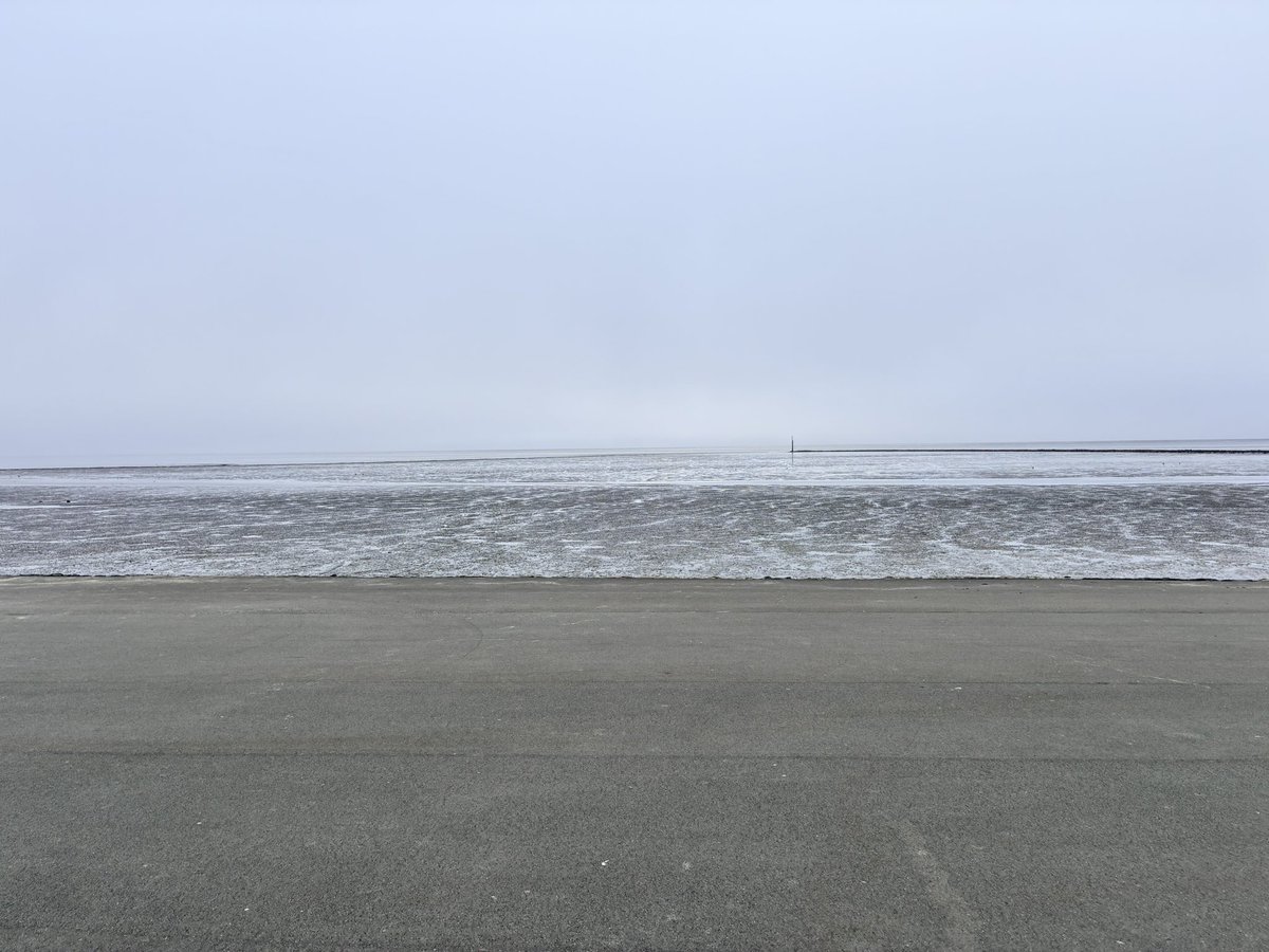 joni 🦊 tweet media