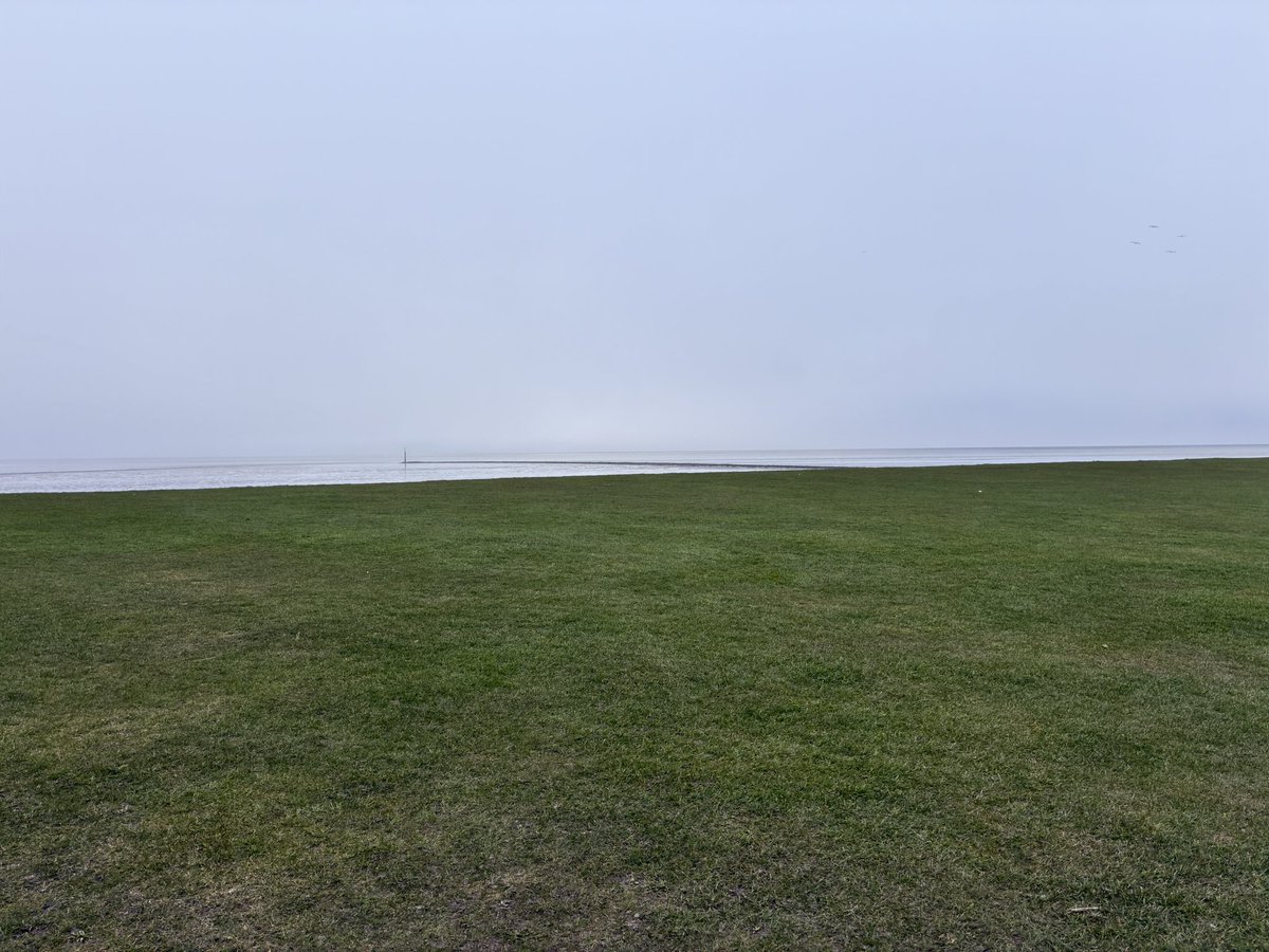 joni 🦊 tweet media