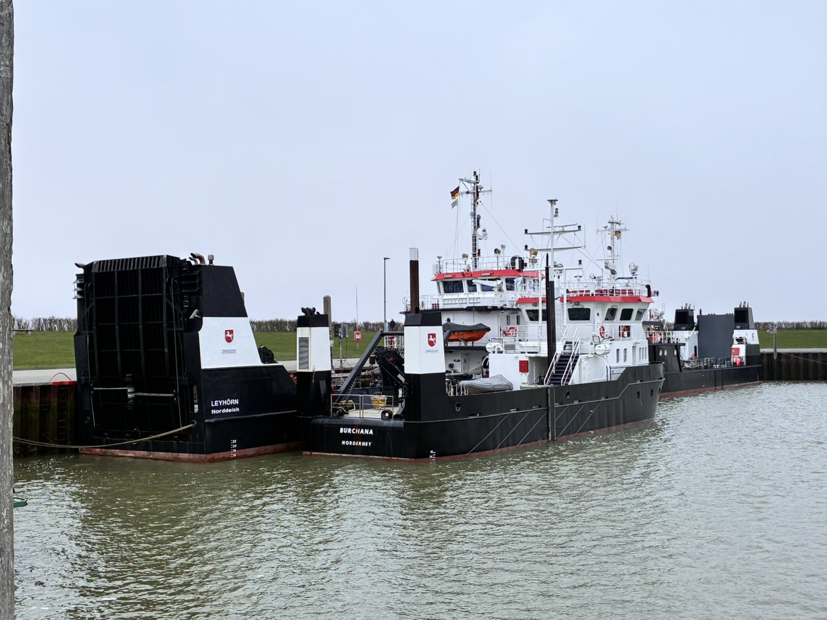 joni 🦊 tweet media