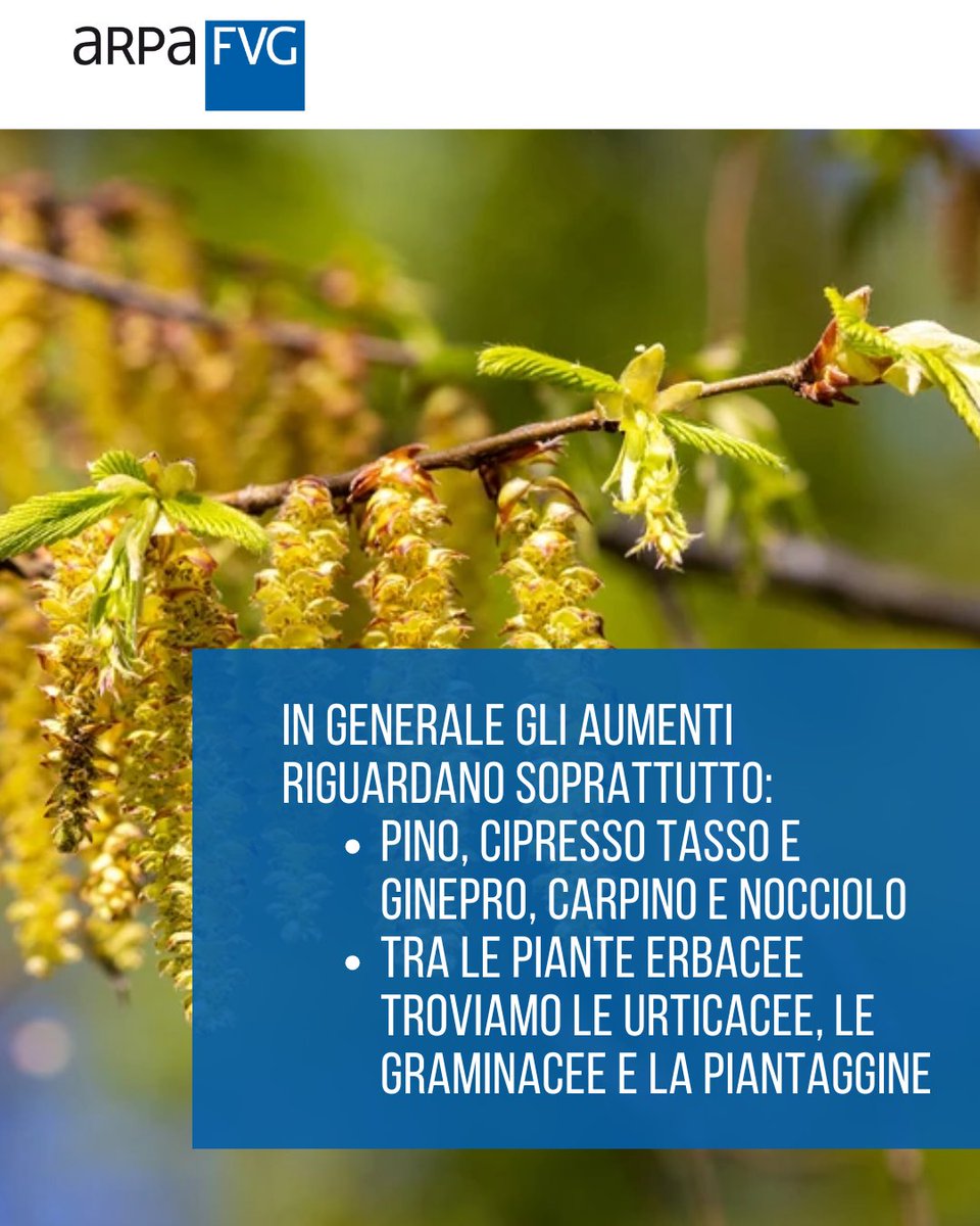 ARPA FVG tweet media