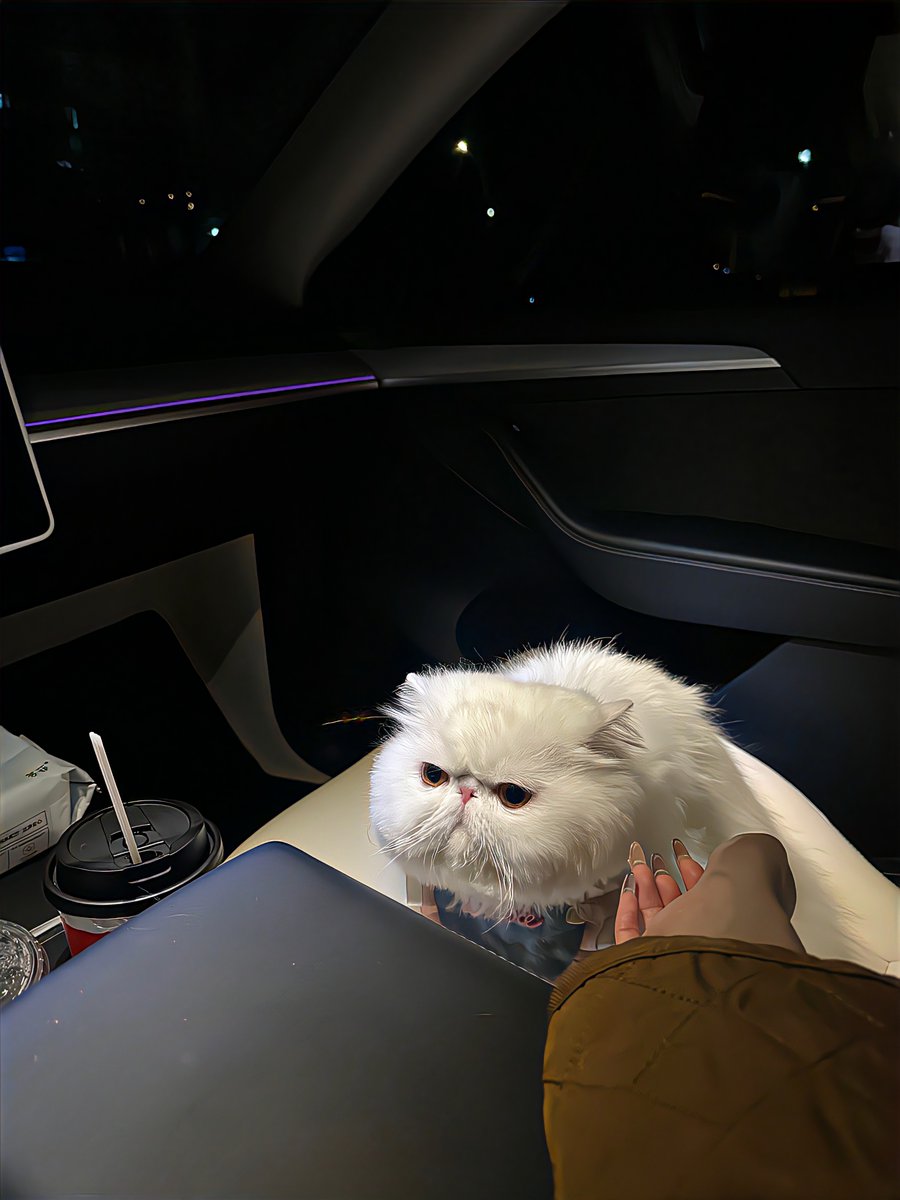 Complete tweet media