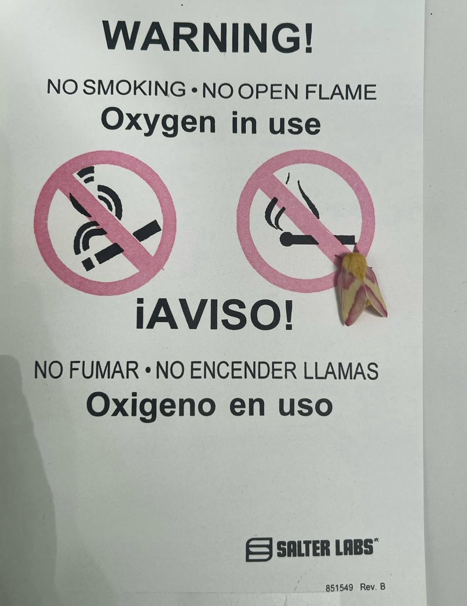 𝕁𝕁 tweet media