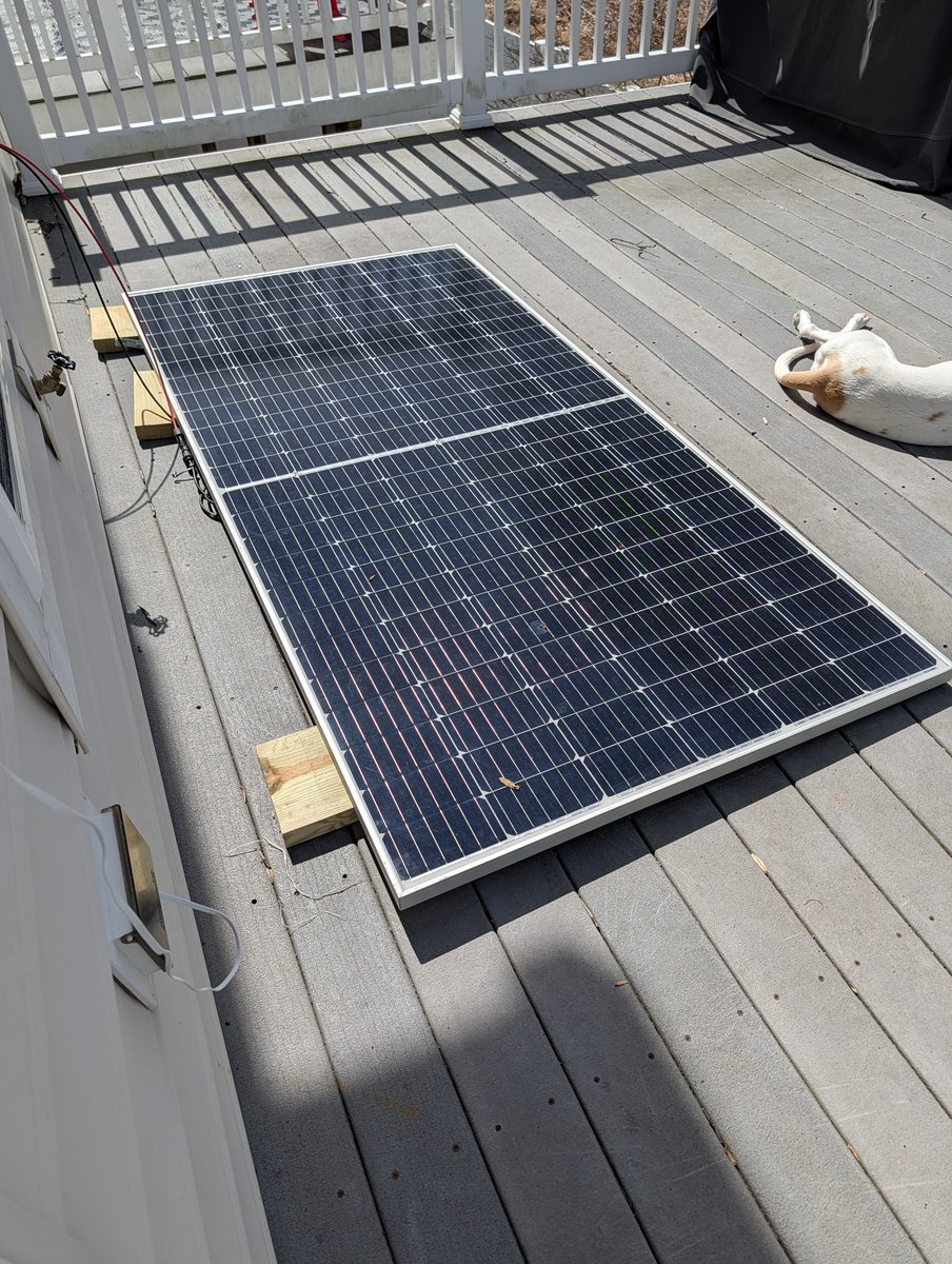 noah 🏳️🌈 tweet media