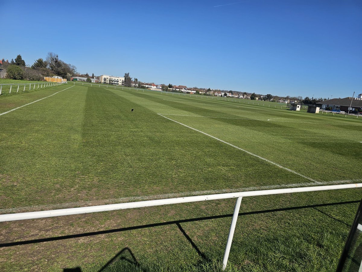 Bealoniansfc tweet media