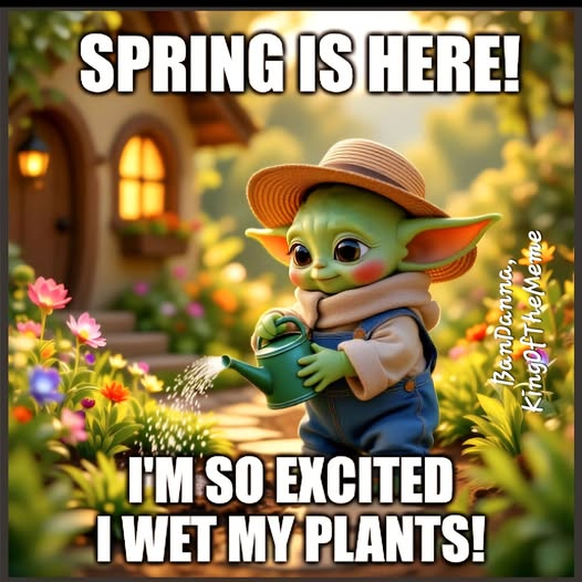 💙💜💛🧡❤️️ ᗩᑎIᑕᕼᗴᒪᒪᗴ ❤️️🧡💜💙 tweet media