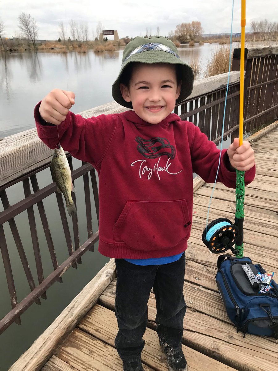 Flies By Spencer tweet media