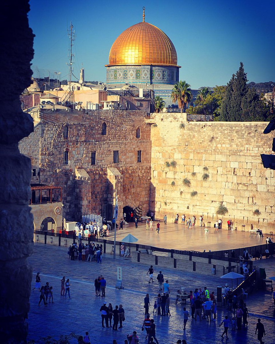 Israël Info En Français tweet media