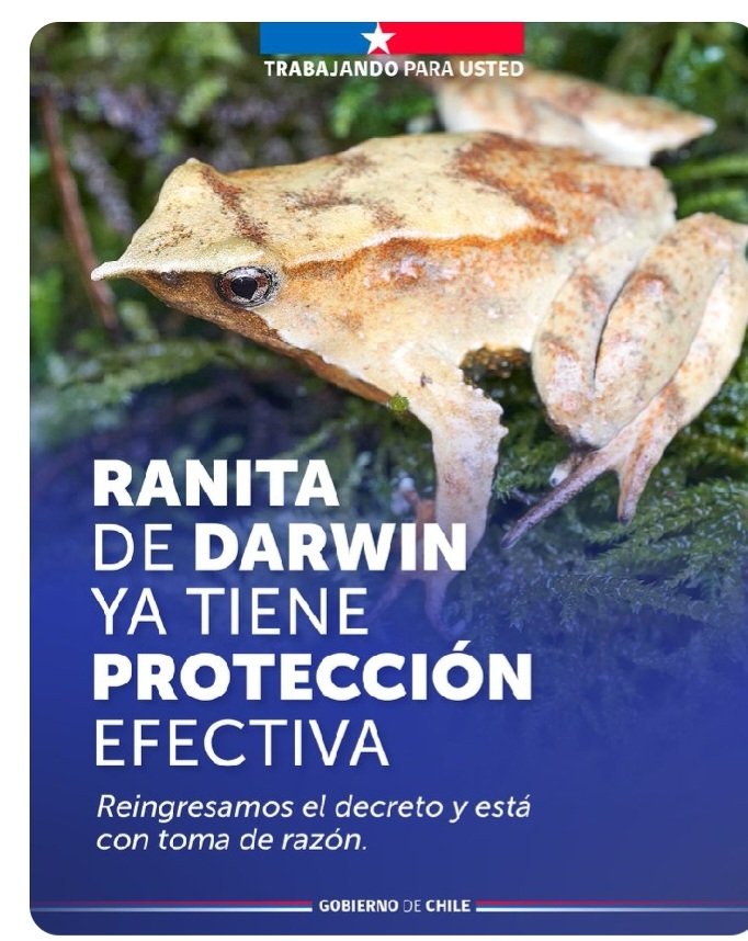 Cris - Sol tweet media