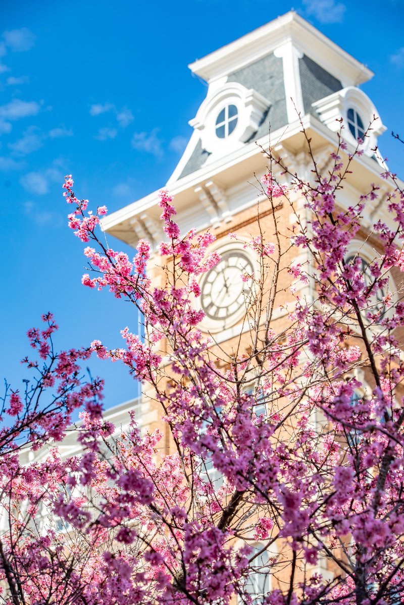 University of Arkansas tweet media