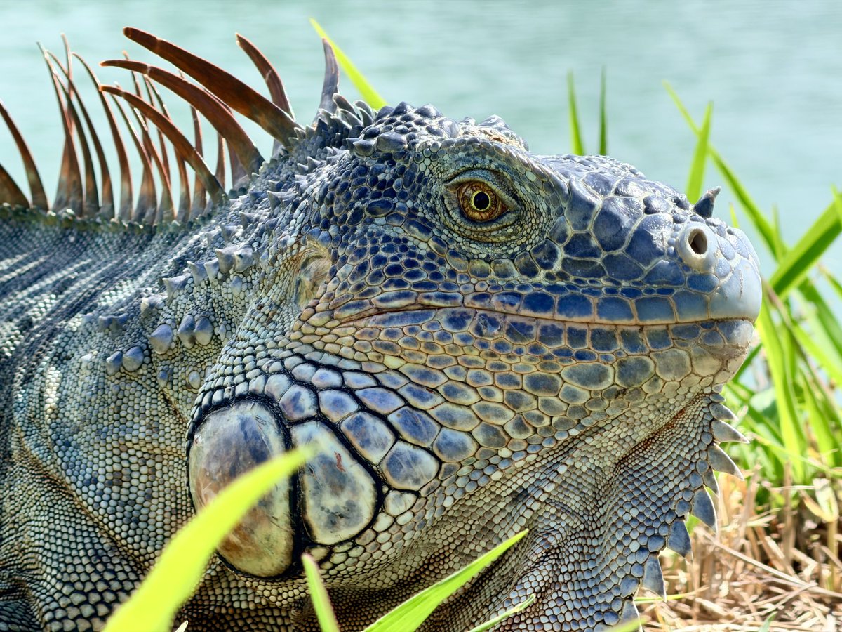 Dr J Rould tweet media