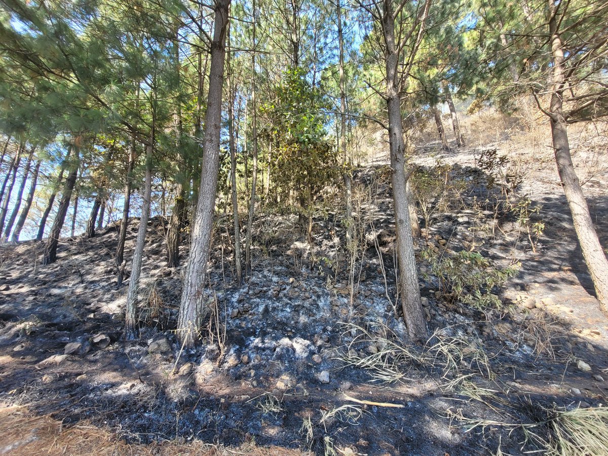 ConredGuatemala's tweet photo. #Guatemala En seguimiento al incendio registrado en el parque no.3 La Cerra, San Miguel Petapa, Guatemala; se reporta que el siniestro fue controlado y liquidado a un 100% por la #COMRED y la Brigada de Respuesta Inmediata (BRI).

Fotografías: Sistema CONRED. https://t.co/x5w7cUHBIJ
