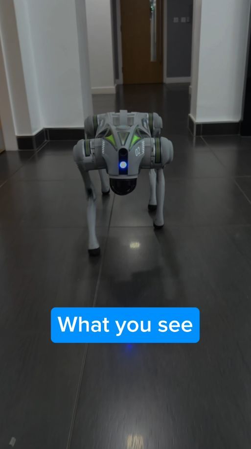 YESSS Electrical tweet media