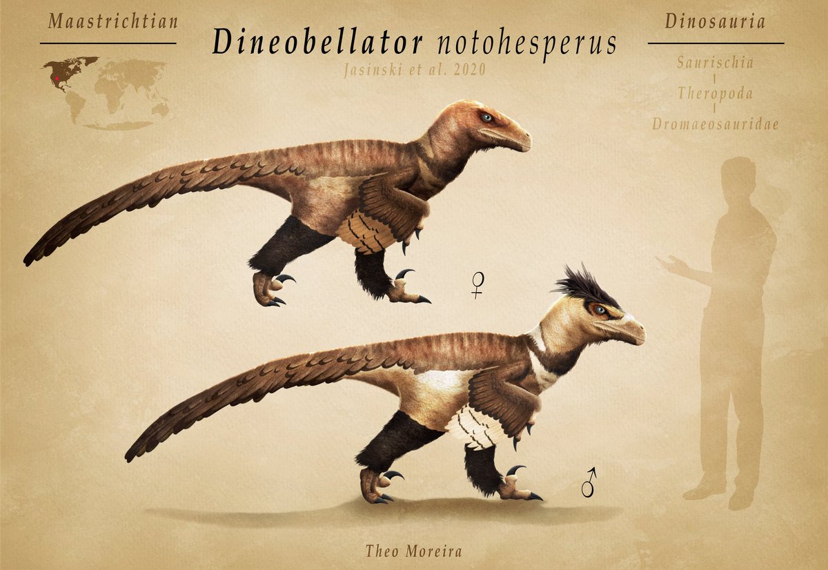 Theo Moreira | Paleoart tweet media