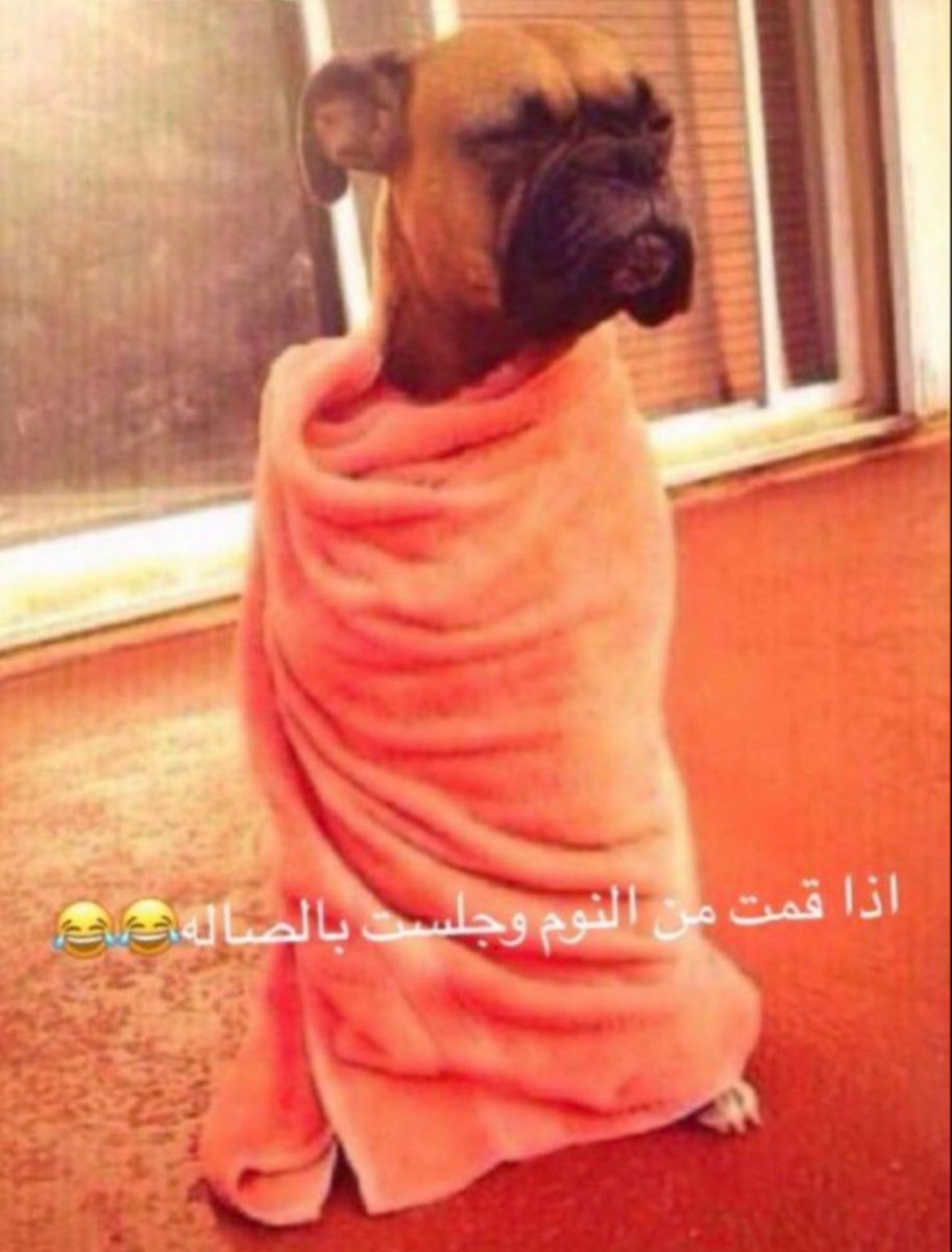 اياد tweet media