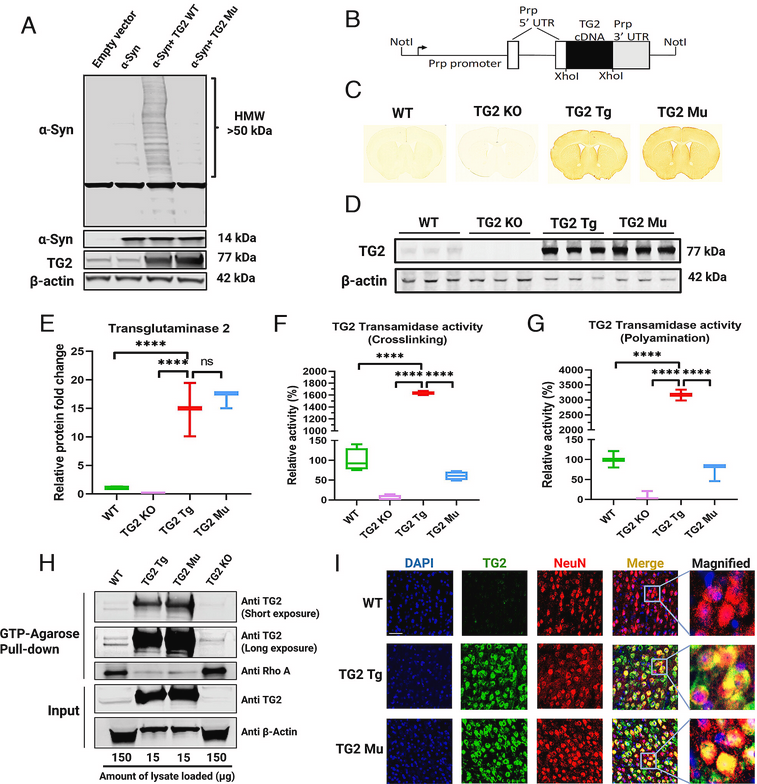 The Science of Parkinson's tweet media