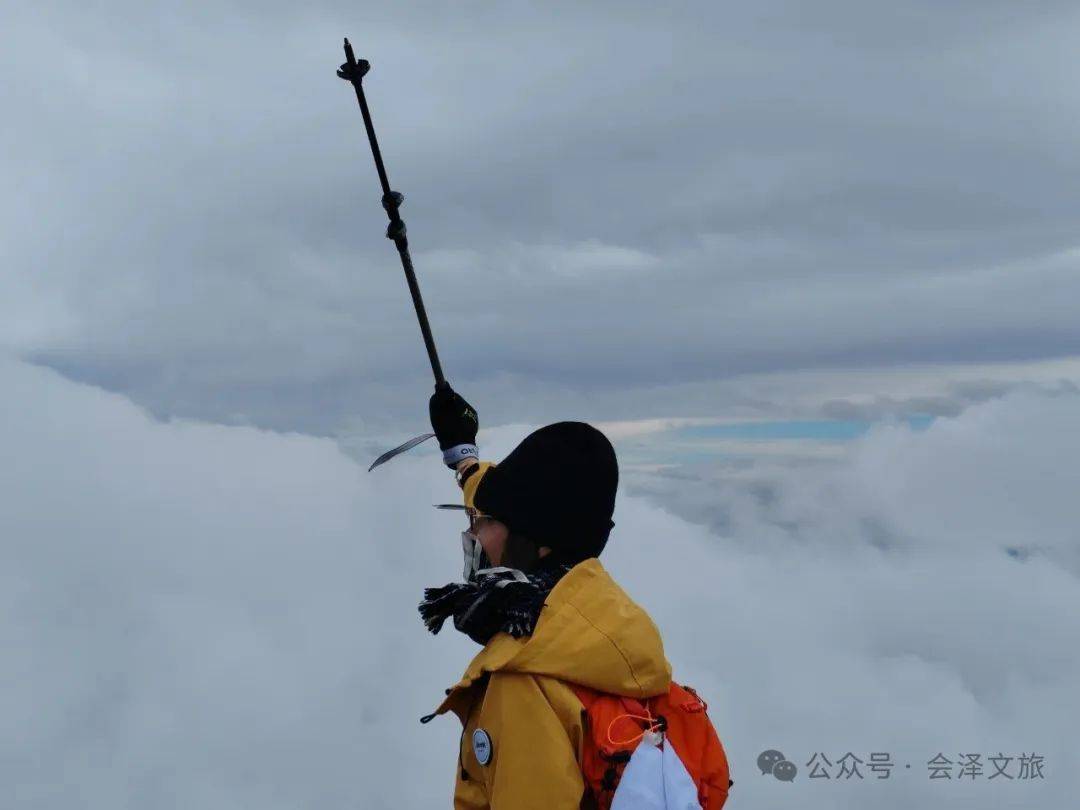 Trey omastar tweet media