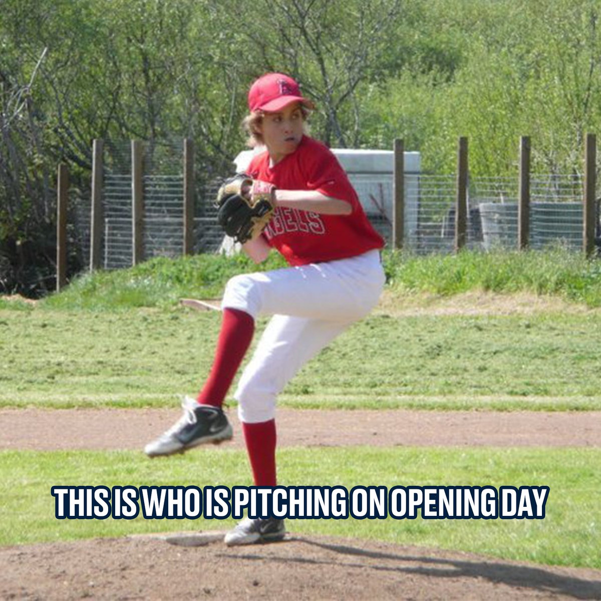 Minnesota Twins tweet media