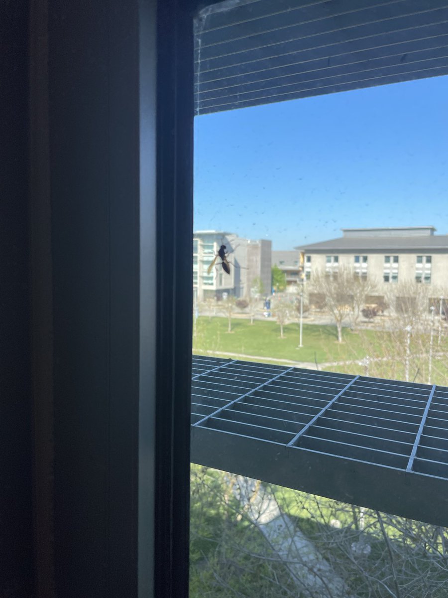 Michael Findlater tweet media