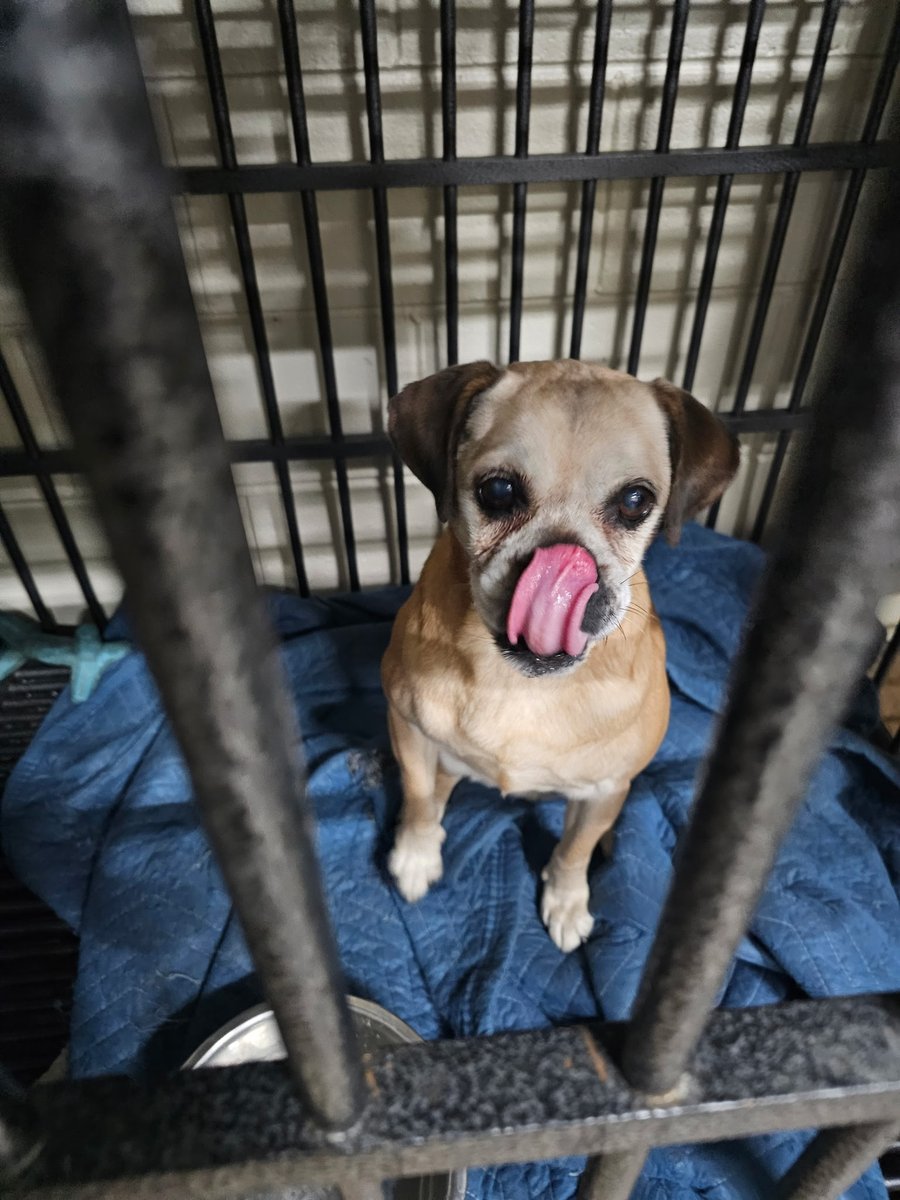 Plainfield,IL Police tweet media