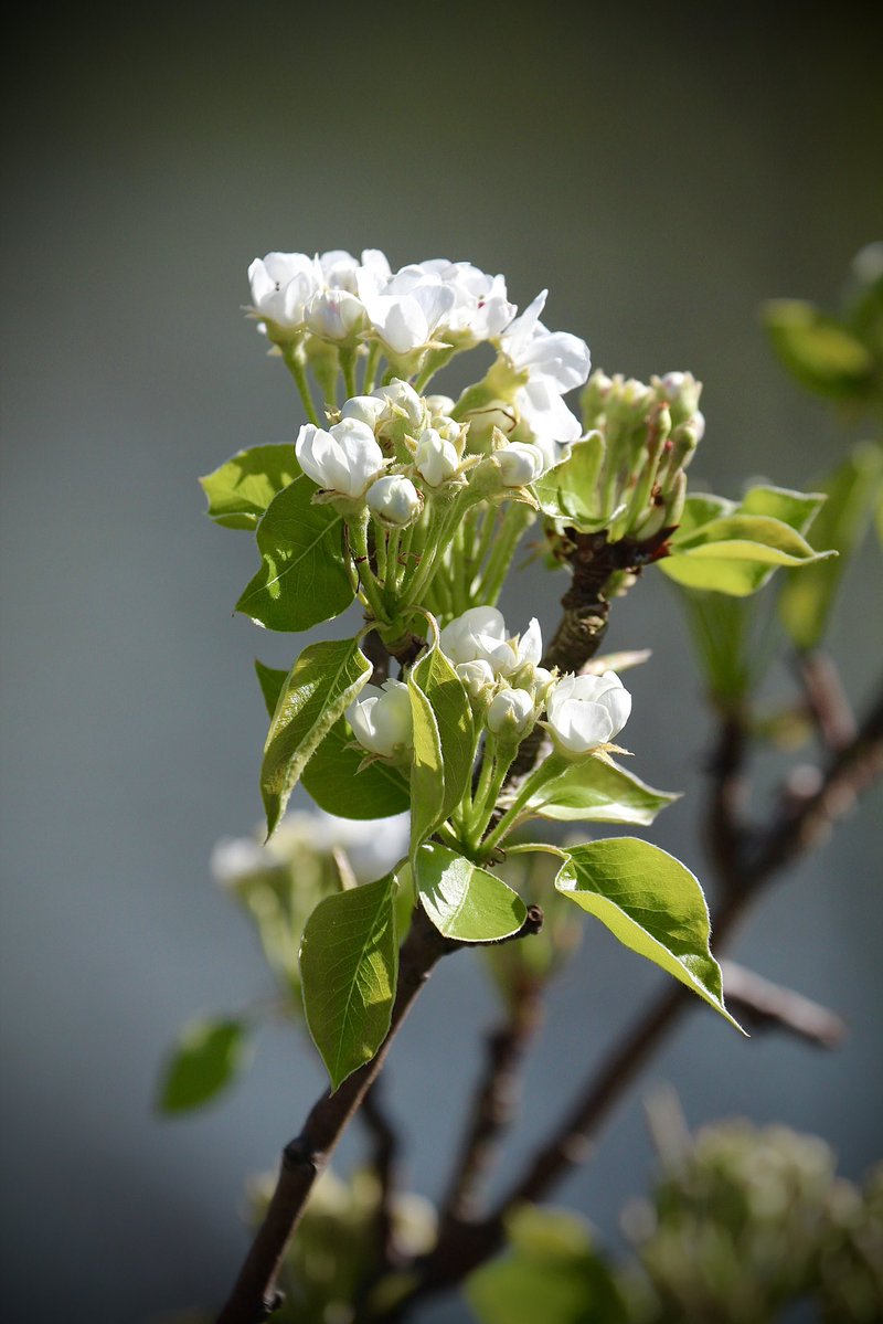 @djip ♦️🕊📸 tweet media