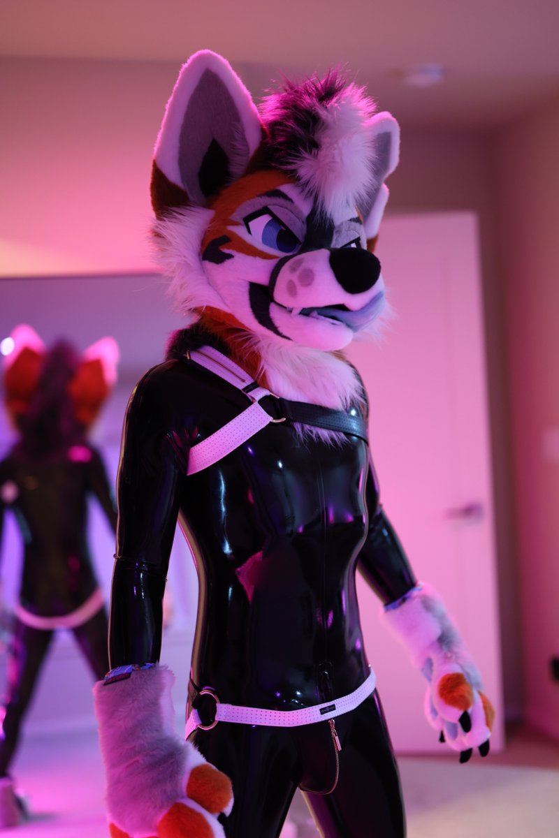 CovexWaff 🔜 LVFC, FWA, Megaplex tweet media