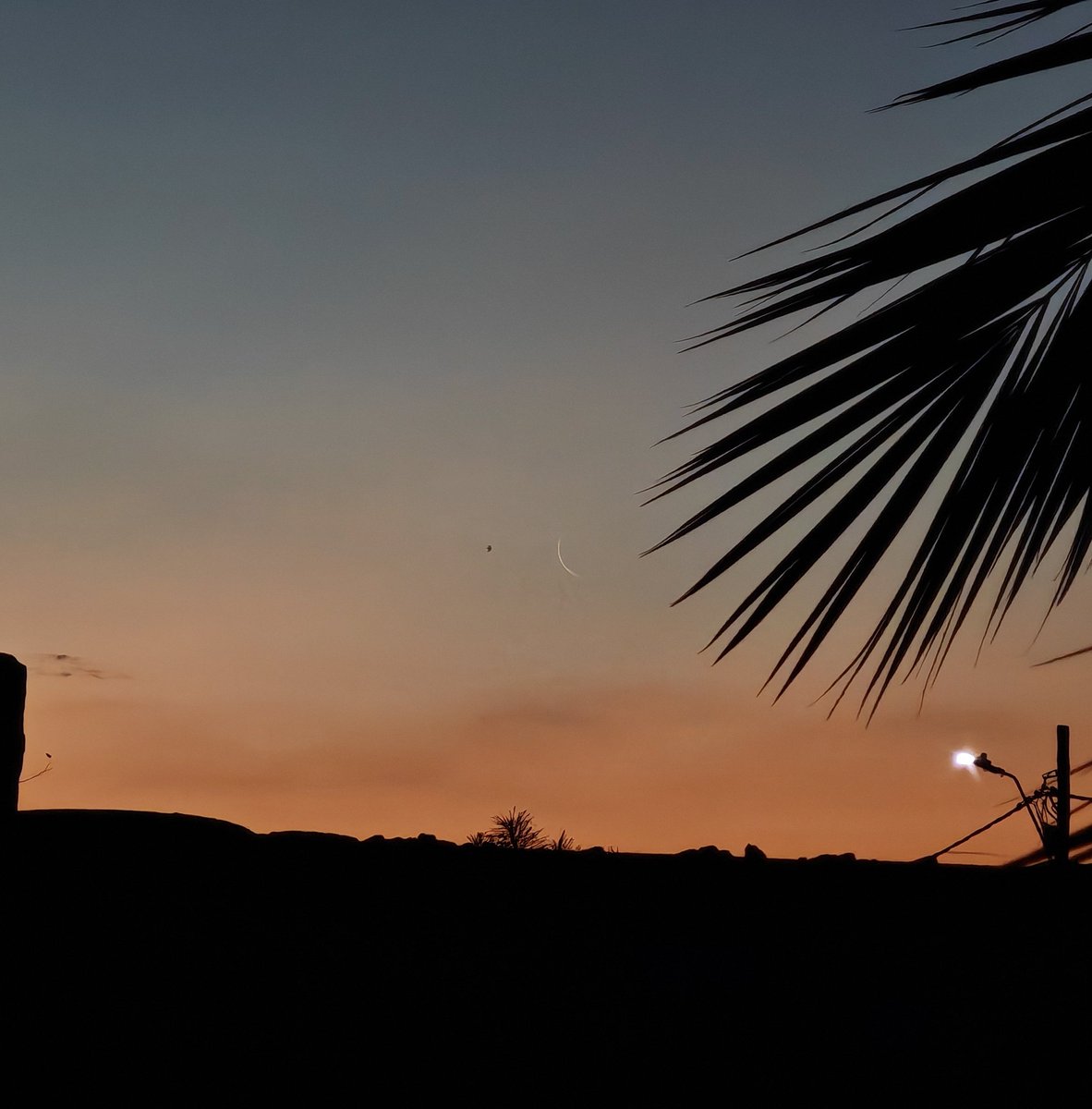 half-a-Sub 🇿🇦 tweet media