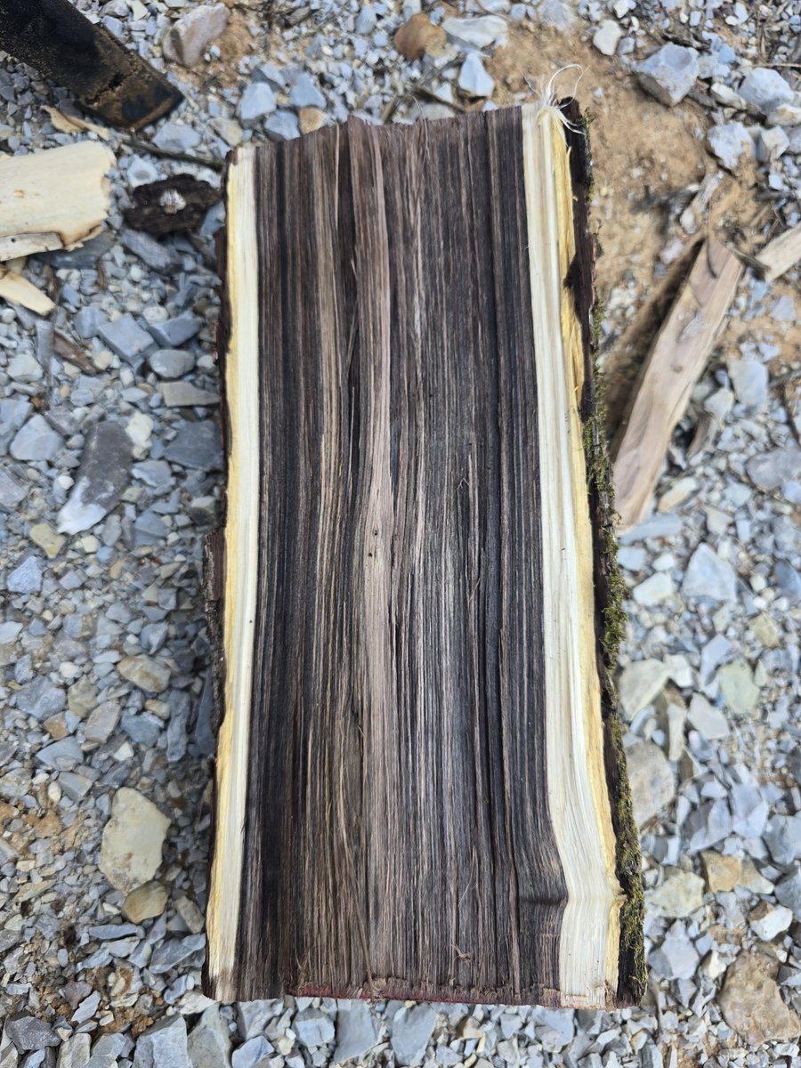 Johnny Appleseed tweet media