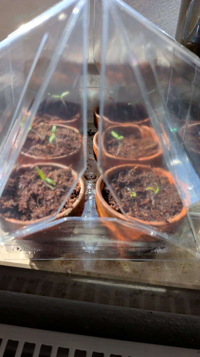 •゚*.。Nia |-/。°*.• tweet media