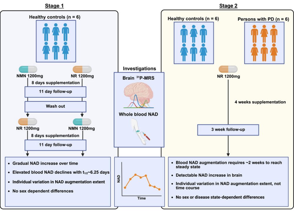 The Science of Parkinson's tweet media