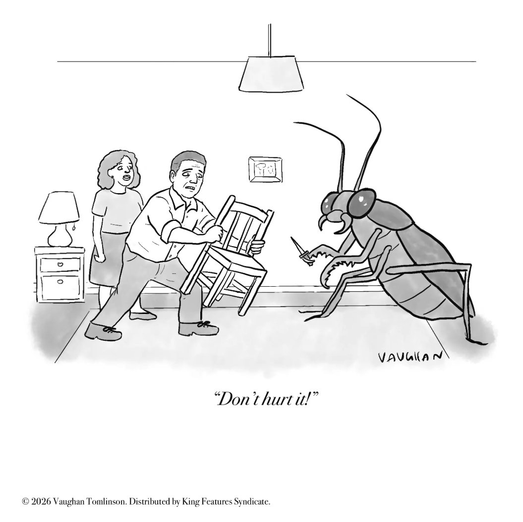 Comics Kingdom tweet media