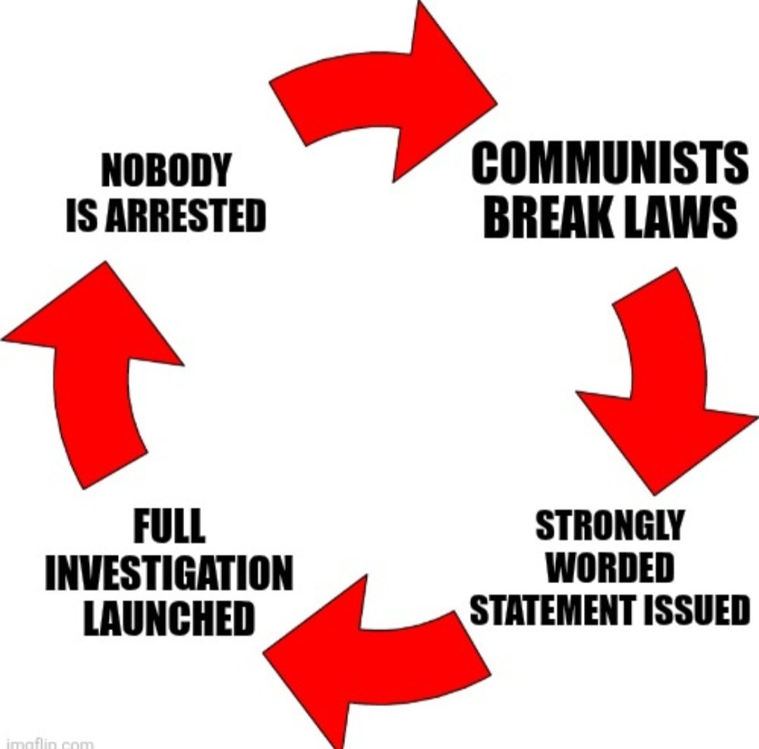 NoRegretVet tweet media