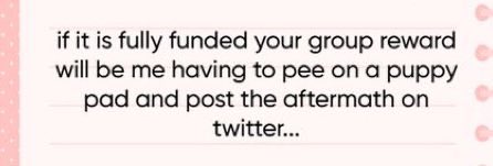 Nachochipu🐾🧀💢(rebrand/debut incoming) tweet media