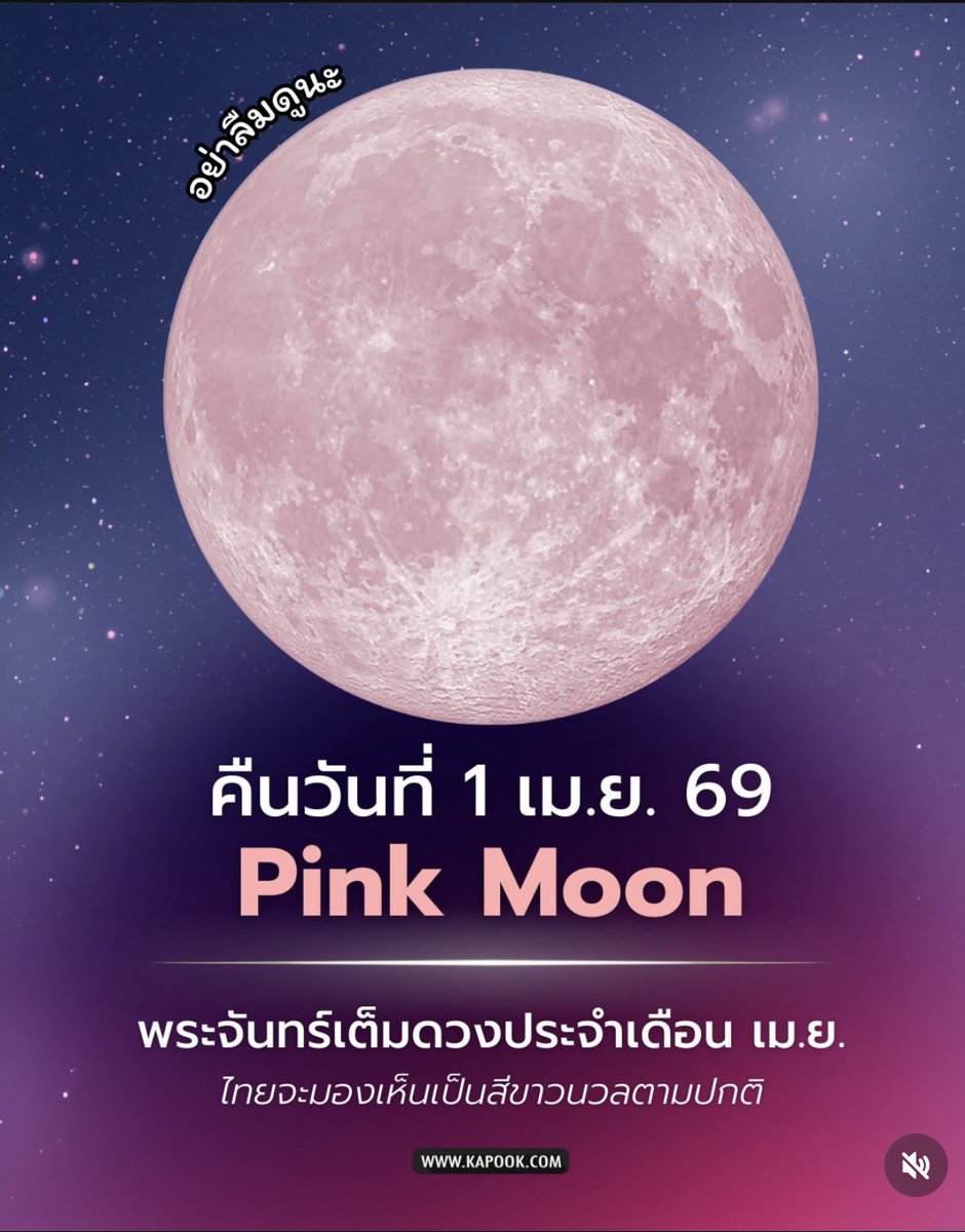 Olivia Rodrigo Thailand🩷 (ติดเงา) tweet media