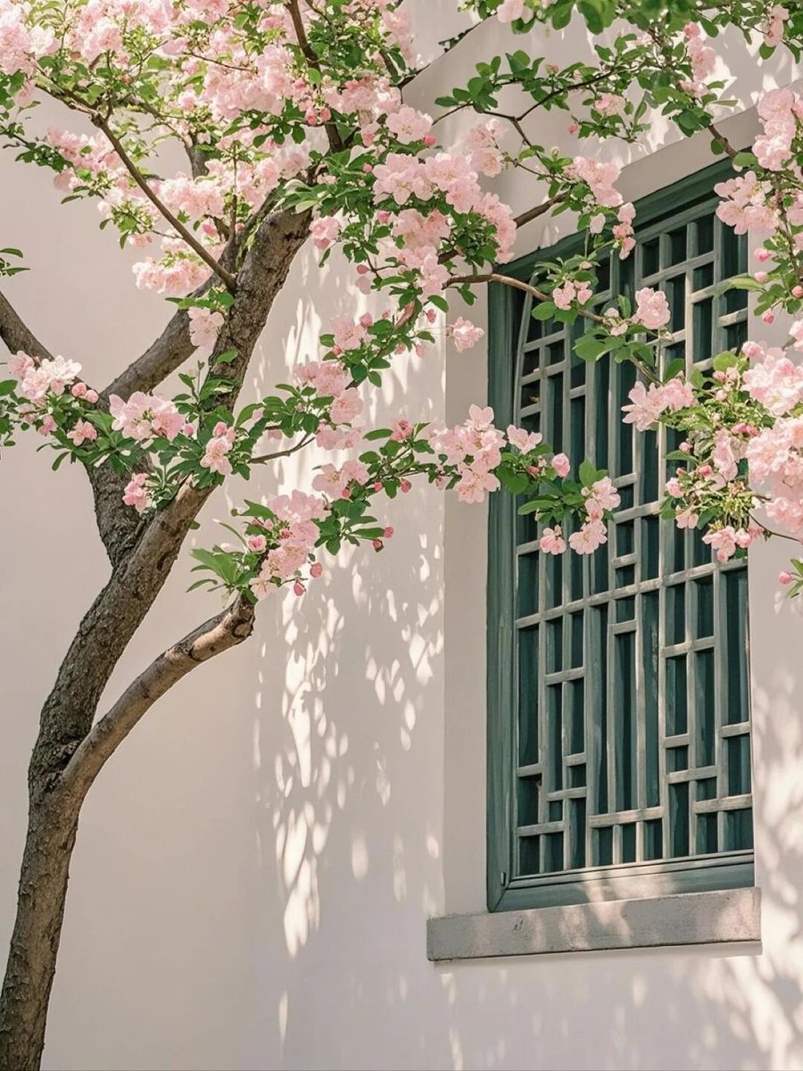 Renee Michael tweet media