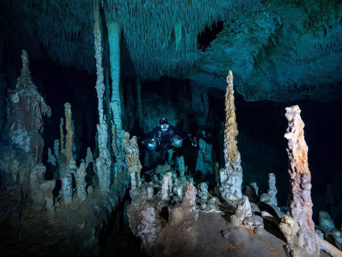 InDEPTH Magazine tweet media