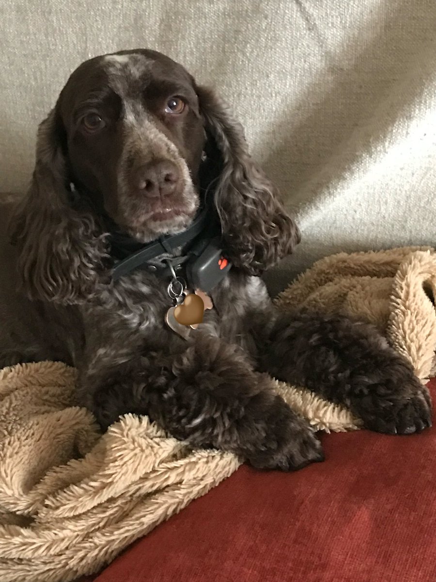 RosieandJane tweet media